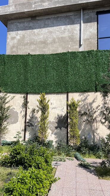 Bağ və bostan üçün digər məhsullar: Kv 10 man baslayr Depodan bir basa satis Hem ucuz hem keyfiyyetli — 16