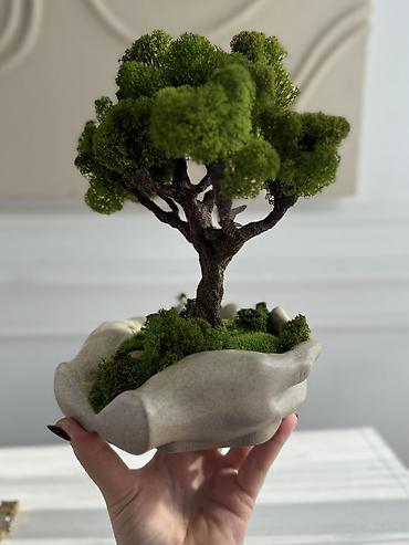 Другой декор и предметы интерьера: Декоративное дерево бонсай, выполненное из стабилизированного мха — 24