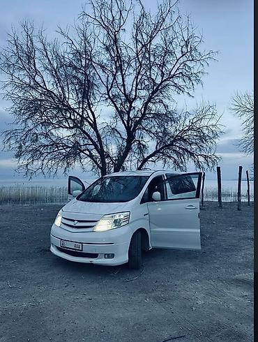 авто европа: Toyota Alphard: 2003 г., 2.4 л, Автомат, Гибрид, Минивэн — 1