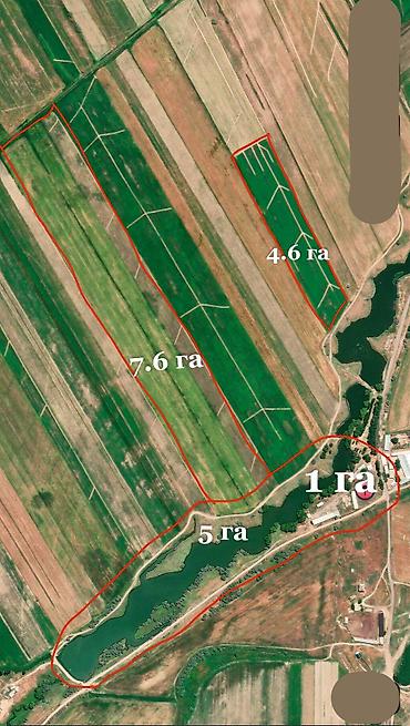Продажа сельхоз предприятий: Ферма КРС, 17 соток, Частично с оборудованием, Электричество, Скважина, Холодная вода — 6