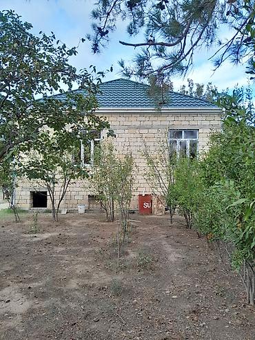 ev alq: 6 otaqlı, 175 kv. m, Kredit yoxdur, Orta təmir — 4