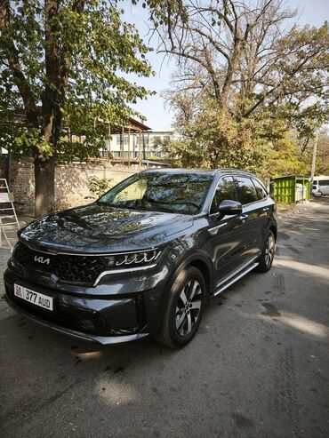 спрей скорая помощь: Kia Sorento: 2021 г., 2.2 л, Робот, Дизель, Кроссовер