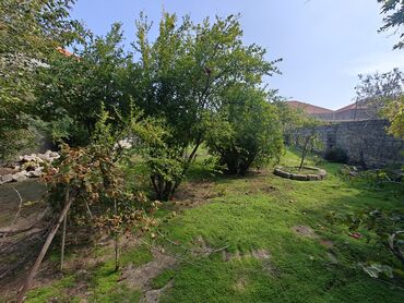 Torpaq sahələrinin satışı: 10 sot, Tikinti, Mülkiyyətçi, Kupça (Çıxarış) -da lalafo.az — 5 Torpaq sahələrinin satışı: 10 sot, Tikinti, Mülkiyyətçi, Kupça (Çıxarış) — 5