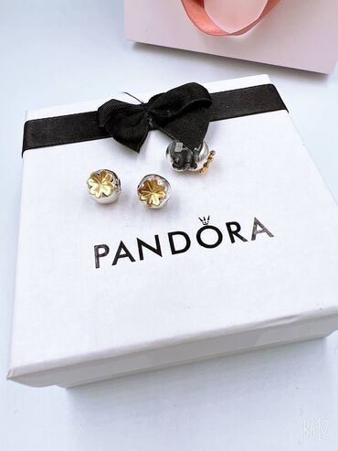 Серебряные шармы: Серебряные Шармы для браслетов Пандора — 8