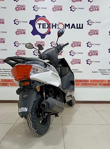 Скутеры: Тип скутера Ангел, 150 куб. см, Бензин, Новый, В рассрочку — 5