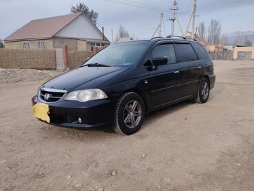 Honda: Honda Odyssey: 2003 г., 2.3 л, Автомат, Бензин, Минивэн at lalafo.kg — 4 Honda: Honda Odyssey: 2003 г., 2.3 л, Автомат, Бензин, Минивэн — 4