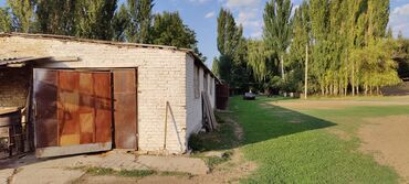 Сельхоз предприятия: Продается Кашара Фермерское- хозяйство с действующим бизнесом и с — 4