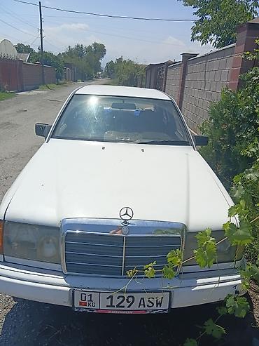 x class: Mercedes-Benz W124: 1988 г., 2 л, Автомат, Бензин, Седан — 1