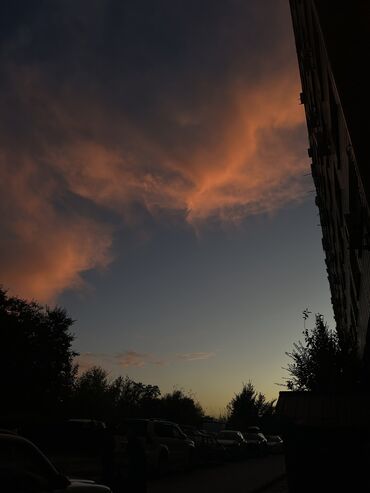 дом в аренду ак орго: 1 бөлмө, Менчик ээси, Чогуу жашоо менен, Эмерексиз, Толугу менен эмереги бар, Жарым -жартылай эмереги бар