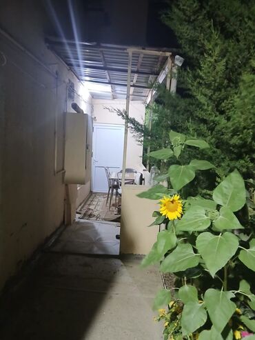 Kommersiya daşınmaz əmlakının satışı: Obiyekt satılır.Ofis üçün,telebe hazirlasdirmaq ucun ela yerdi.36 -da lalafo.az — 13 Kommersiya daşınmaz əmlakının satışı: Obiyekt satılır.Ofis üçün,telebe hazirlasdirmaq ucun ela yerdi.36 — 13