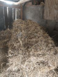 домик для животных: Продам тюки разнотравия по 200 сом 20-30 тюков осталось
