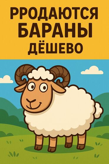 собаки питбул: Сатам | Ургаачы кой (ургаачы), Козу, Кочкор (эркек) | Союуга, Көбөйтүү үчүн, Жүн үчүн | Асыл тукумдуу, Бооз, Бычылган