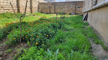 Həyət evləri və villaların satışı: 3 otaqlı, 130 kv. m, Kredit var, Yeni təmirli -da lalafo.az — 9 Həyət evləri və villaların satışı: 3 otaqlı, 130 kv. m, Kredit var, Yeni təmirli — 9