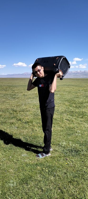 Динамики и колонки: Колонка. Аренда JBL(USA) 240W, Bluetooth. Аренда микрофона(2шт) — 12