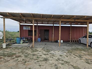 ağac tinglərinin satışı: ●Xaçmaz Rayonu Ağçay kəndi ●Sənədi Çıxarış- 3,15ha ●Yassı Şaftalı — 2
