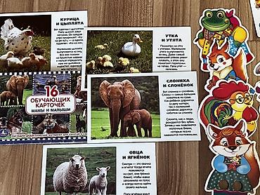 magnet: Большой набор развивающих материалов для дошкольников (2–6 лет) — 3