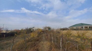 Torpaq sahələrinin satışı: 6 sot, Maklerlər narahat etməsin, Kupça (Çıxarış) — 12