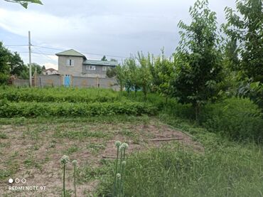 село нижняя аларча: 4 соток, Курулуш, Кызыл китеп