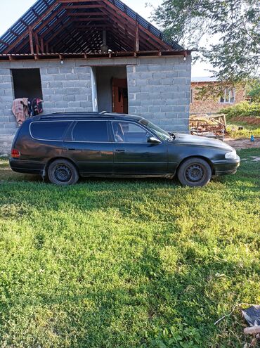 Toyota: Toyota Camry: 1995 г., Бензин, Универсал — 23