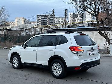 туманник: Subaru Forester: 2019 г., 2.5 л, Автомат, Бензин, Кроссовер — 1
