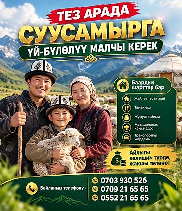 оптима фарм вакансии: Требуется Скотник, Оплата: Сдельная — 1