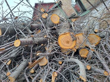 Дрова: Дрова Самовывоз, Платная доставка
