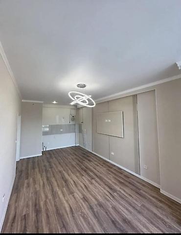 45: 1 комната, 45 м², Пишпек Элитка, 8 этаж, Евроремонт — 3