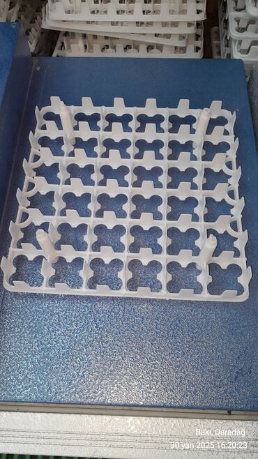 İnkubatorlar: 88 ədədlik toyuq latoq 
ölçü (50 .36) — 6