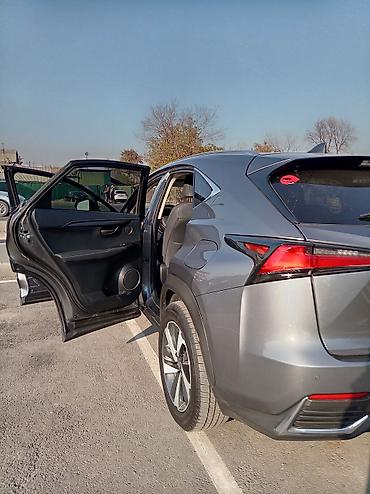 rx 450h: Lexus NX: 2020 г., 2.5 л, Вариатор, Гибрид, Кроссовер — 10
