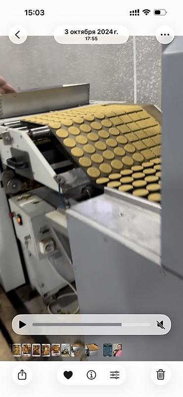 Производство кондитерских изделий: Туннельная печь для выпечки печенья/кондитерских изделий Описание: - — 7