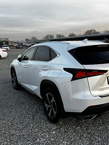 Lexus: Lexus NX: 2018 г., 2 л, Автомат, Бензин, Кроссовер — 2