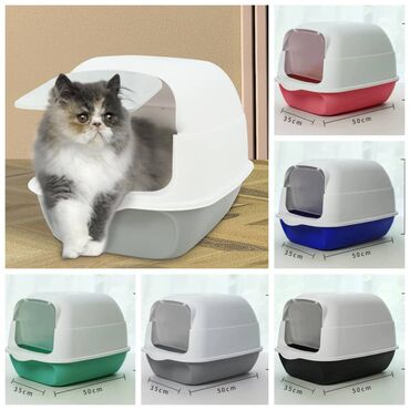 Зоотовары: ПРОДАЮ КОШАЧЬЮ МЯТУ(АНТИСТРЕСС),ПОРАДУЙТЕ СВОГО КОТИКА ТАКОЙ at lalafo.kg — 4 Зоотовары: ПРОДАЮ КОШАЧЬЮ МЯТУ(АНТИСТРЕСС),ПОРАДУЙТЕ СВОГО КОТИКА ТАКОЙ — 4