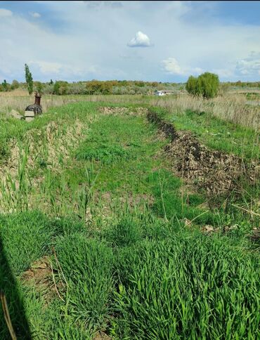 Продажа участков: 600 соток, Для бизнеса, Красная книга — 17