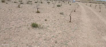 Продажа участков: 4 соток, Красная книга — 6