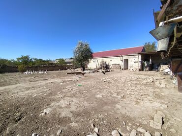 Torpaq sahələrinin satışı: 6 sot, Kənd təsərrüfatı, Kupça (Çıxarış) — 11