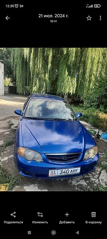shuma: Kia Cerato: 2002 г., 1.6 л, Механика, Бензин, Седан — 1