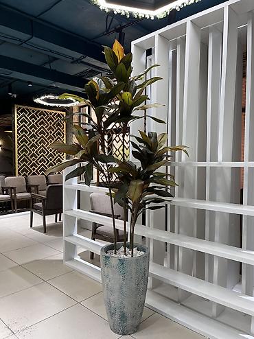 Декоративные цветы: 🌿 Мы — Mayram Decor KG, ваш надежный партнёр в создании эффектных и — 27