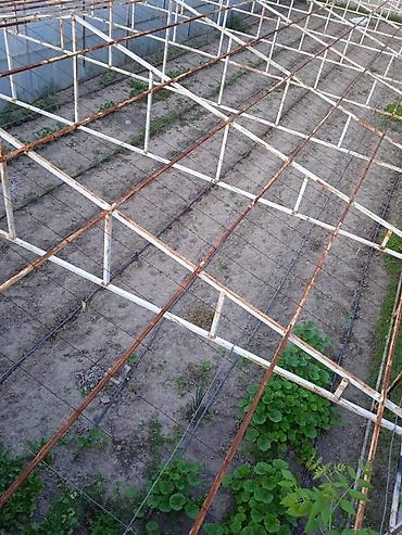 Үй жана бакча: ( теплица ). Продаю готовую теплицу. Продаётся только каркас теплицы — 10