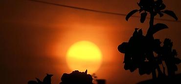 Фотографы, видеооператоры: Фотограф, видеооператор. 19 — 1