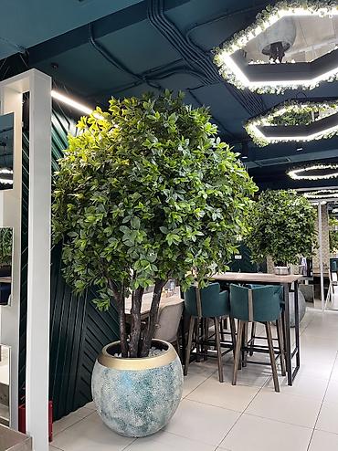 Декоративные цветы: 🌿 Мы — Mayram Decor KG, ваш надежный партнёр в создании эффектных и — 18