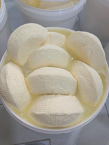 evalar vitamin c: Təbii kənd məhsullarının satışı bizdə.çatdırılma var. qaymaq 7 kq — 5