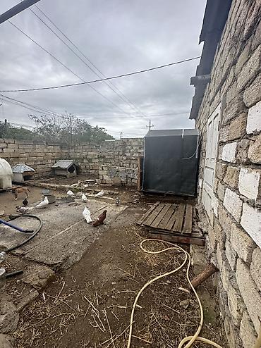 guzdek torpaq satilir: 4 otaqlı, 200 kv. m, Kredit yoxdur, Orta təmir — 8