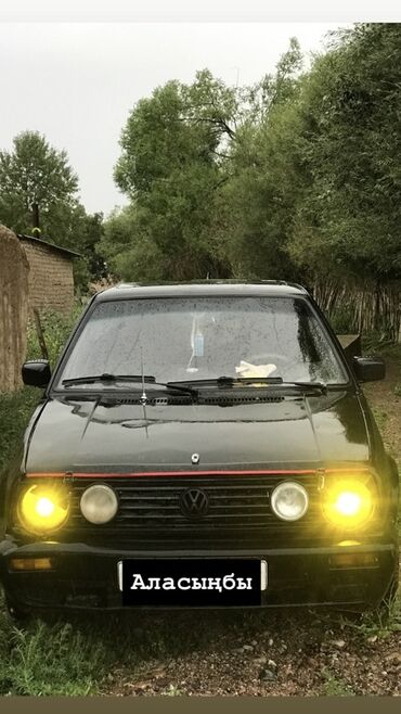 диск на гольф: Volkswagen Golf: 1990 г., 1.3 л, Механика, Бензин, Хетчбек