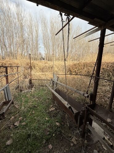 Куплю дом: Дом на отдельном участке с капитальным забором и откатными воротами — 17