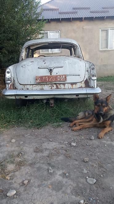 ГАЗ: ГАЗ 21 Volga: 1959 г., Механика, Бензин, Седан — 3