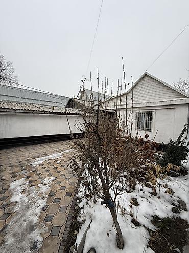 Продажа домов: Дом, 60 м², 4 комнаты, Агентство недвижимости, Старый ремонт at lalafo.kg — 4 Продажа домов: Дом, 60 м², 4 комнаты, Агентство недвижимости, Старый ремонт — 4