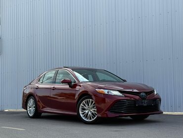 купить запчасти на опель вектра б: Toyota Camry: 2020 г., 2.5 л, Вариатор, Гибрид, Седан