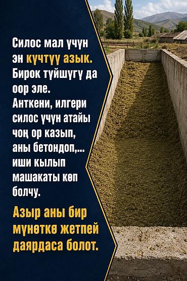 Силосные станки: Бизнес идея. Силос аппарат. Самая дешевая в KG. Китай. С завода — 8