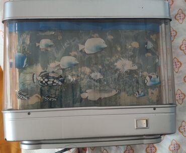 dekor satılır: Salam Dekorativ retro akvaryum isigi satilir 5azn metro içinə catdira