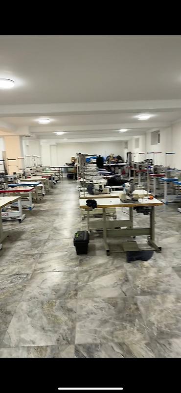 Аренда цехов, заводов и фабрик: Продаётся Готовый бизнес, квартиры Можно обустроить под себя — 13